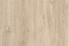 S200-DD245-Fawny-Ash--739x1024
